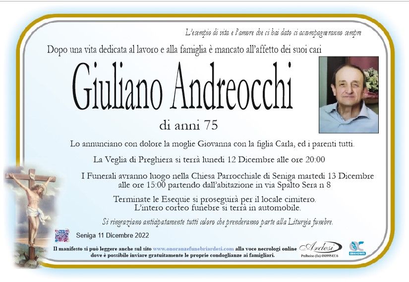 GIULIANO ANDREOCCHI - SENIGA