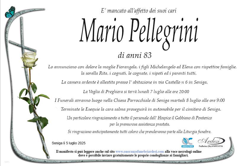 MARIO PELLEGRINI - SENIGA